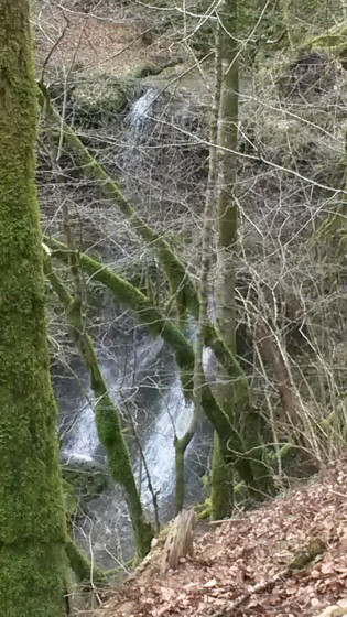 Cascade et recul&eacute;e