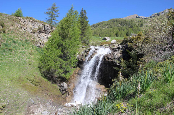 Cascade sous le sentier