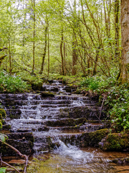Cascade