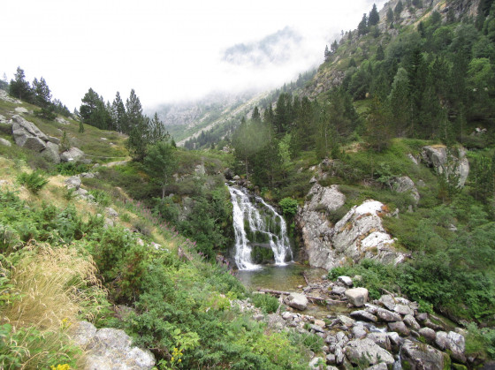 Cascade
