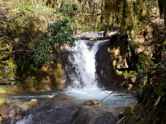 Cascade