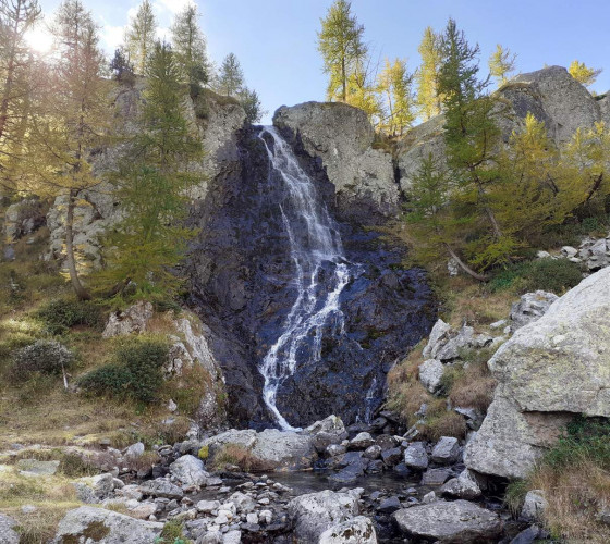 Cascade