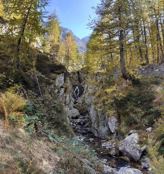 Cascade