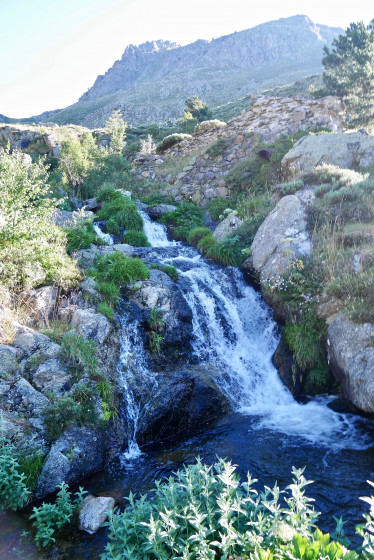 Cascade