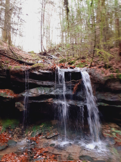 Cascade