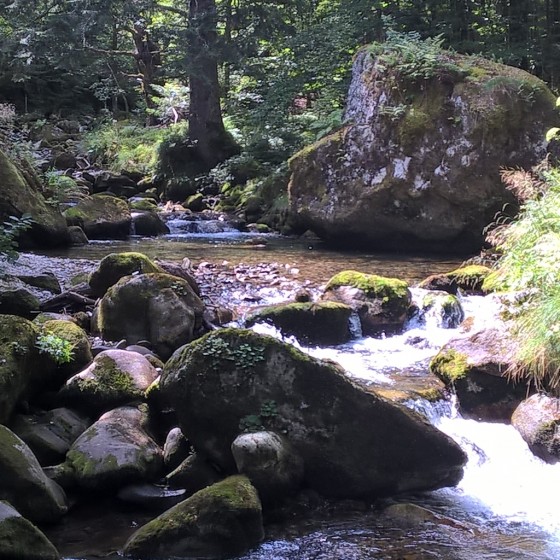 cascade