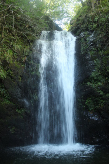Cascade