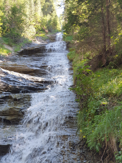 Cascade