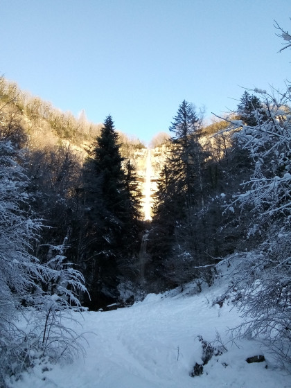 Cascade