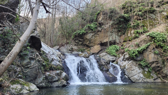 cascade