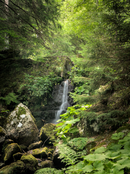 Cascade