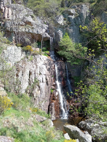 Cascade