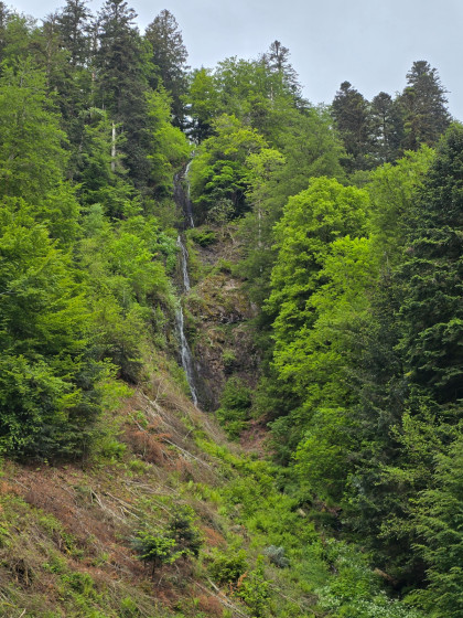 Cascade