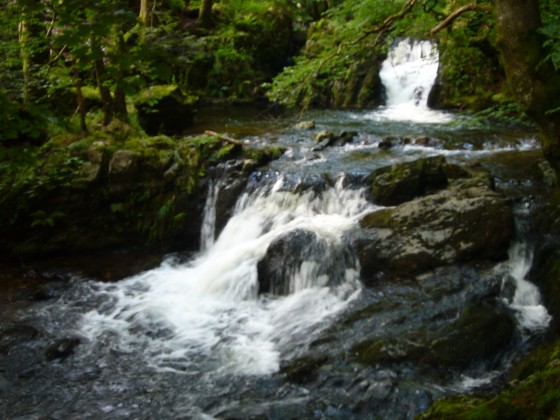 Cascade