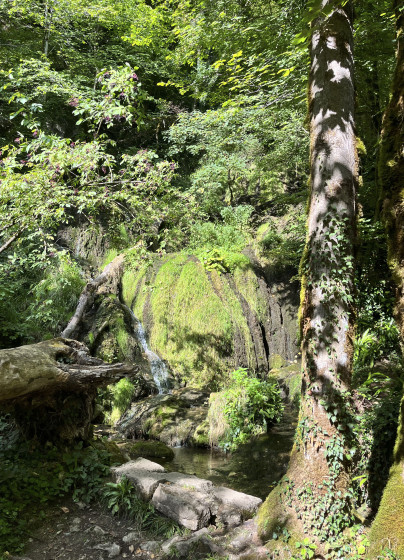 Cascade
