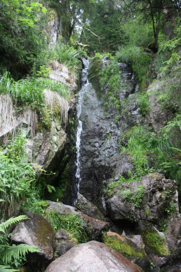 Cascade