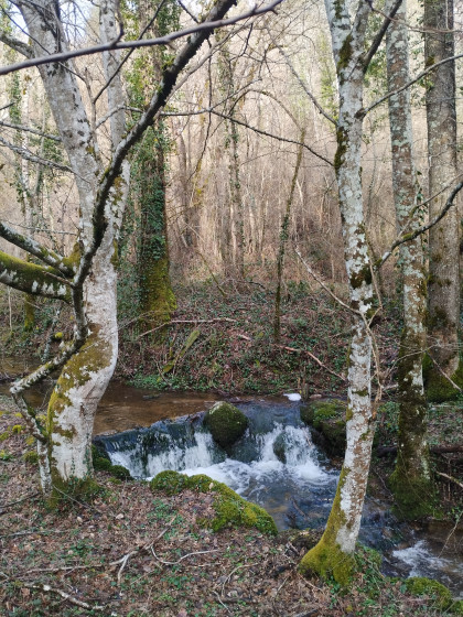 cascades multiples