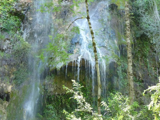 Cascades