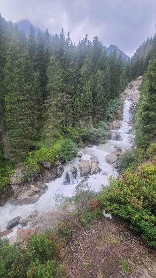 Cascades