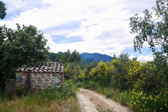 Casot, piste, gen&ecirc;ts en fleur