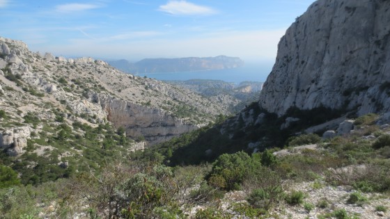 Cassis du pied de la Grande Candelle