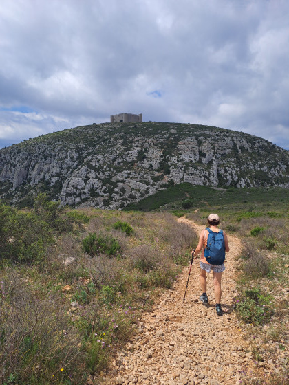 Castell de Montgri