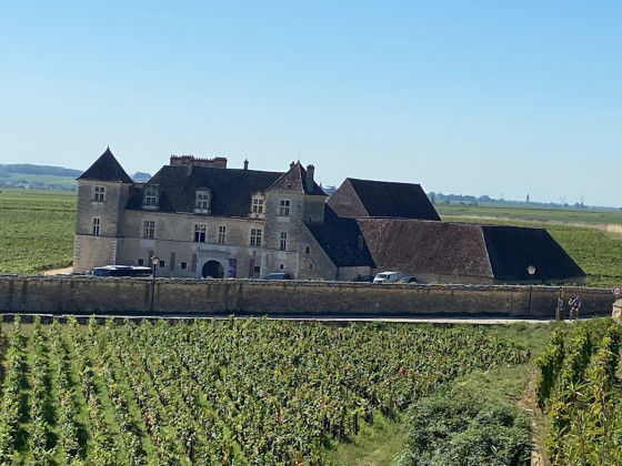Castle in summer
