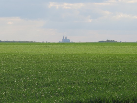 Cathedrale dans les flots de blé