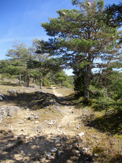 Causse M&eacute;jean