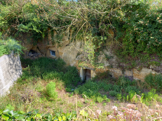 Caves troglodytes