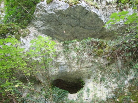 Cavité à Nuits-Saint-Georges