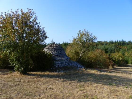 Cazelle