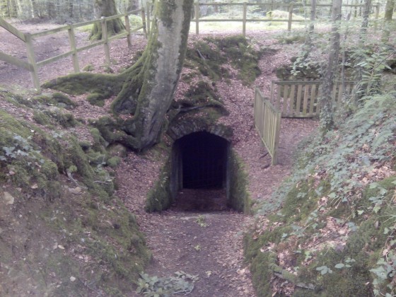 Carte Postale Ancienne Forêt De Fougères – Hutte De Sabotier – Années 1900