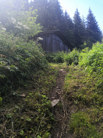 Chalet de Bramaturtaz