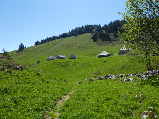 Chalet de l\'Aulp du Four