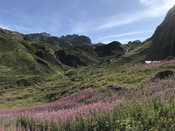 Chalet de la Sache d'en bas