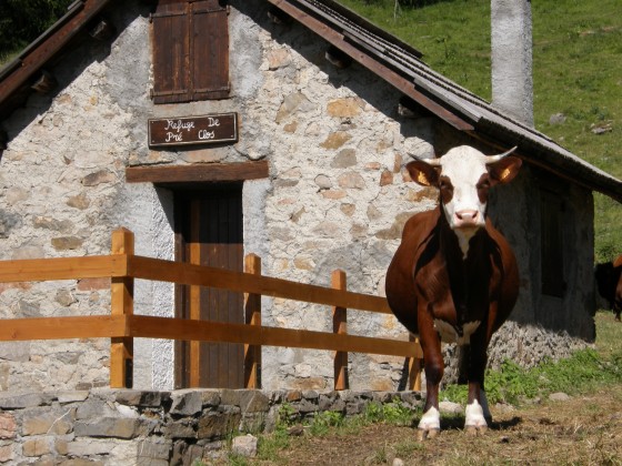 Chalet de Pré clos