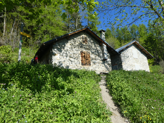 Chalet forestié de la Balme