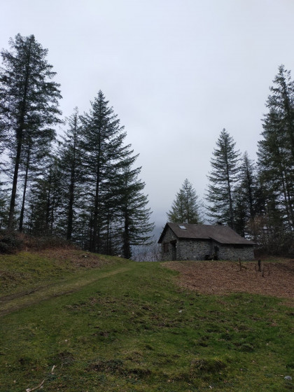 Chalet le long de la piste forestière