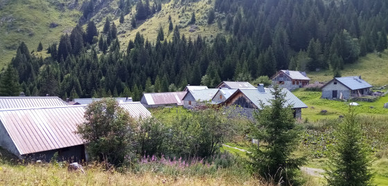 Chalets de Pertuis