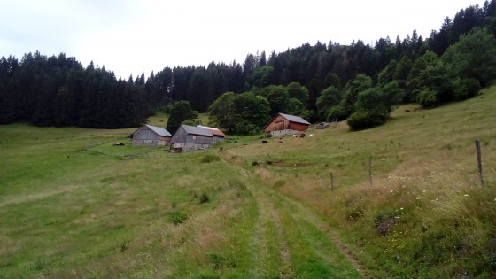 Chalets de Plansuet