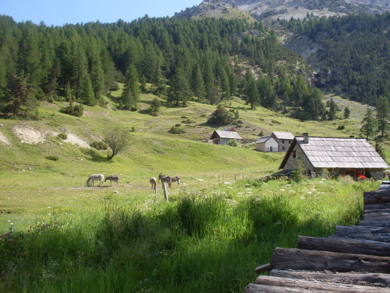 Chalets des Acles