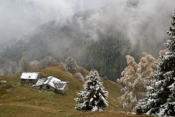 Chalets du Sécheron