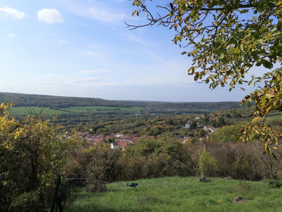 Chaligny