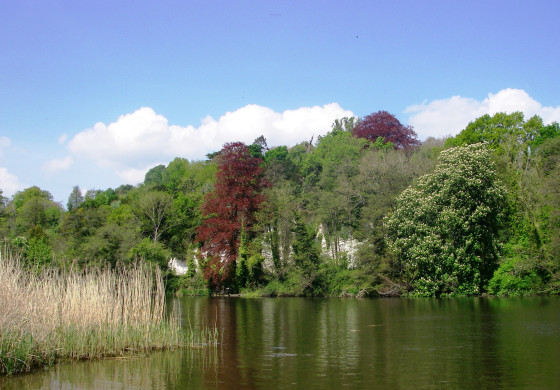 Falaises de craie de Danesfield