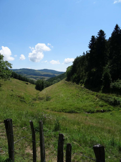 Chamelet, Prairie vers Bois Clayet