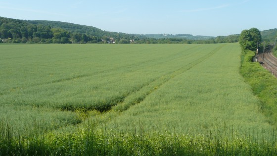 Chamigny