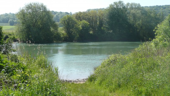 Chamigny