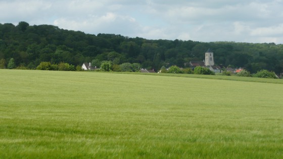 Chamigny