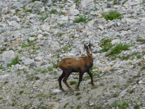 Chamois, sur le versant italien